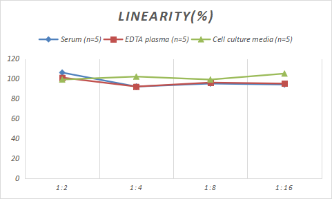 Monkey Angiotensin II ELISA Kit (Colorimetric)