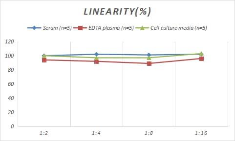 Rabbit Angiopoietin-like Protein 3/ANGPTL3 ELISA Kit (Colorimetric)