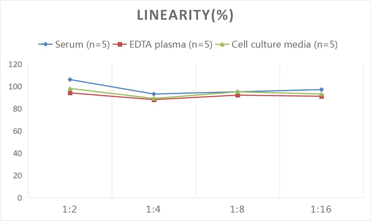 Rat Arginase 1/ARG1/liver Arginase ELISA Kit (Colorimetric)