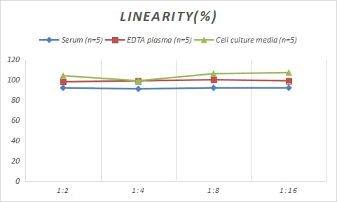 Rabbit Abeta 42 ELISA Kit (Colorimetric)