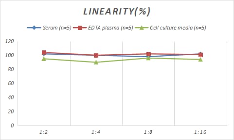 Rabbit BAFF/BLyS/TNFSF13B ELISA Kit (Colorimetric)