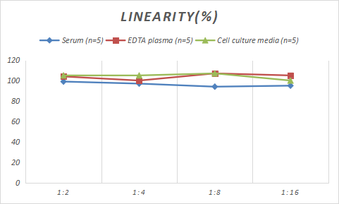 Sheep FGF basic/FGF2/bFGF ELISA Kit (Colorimetric)