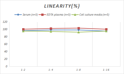 Sheep BMP-2 ELISA Kit (Colorimetric)