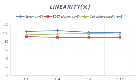 Rabbit Complement C3 ELISA Kit (Colorimetric)