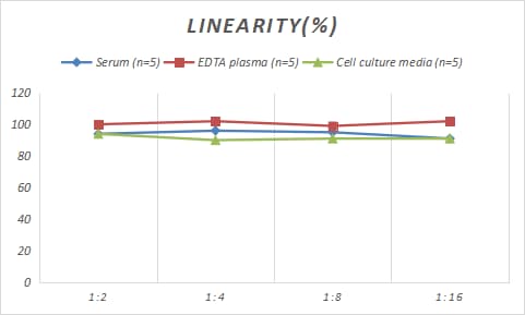 Rabbit Caspase-3 ELISA Kit (Colorimetric)
