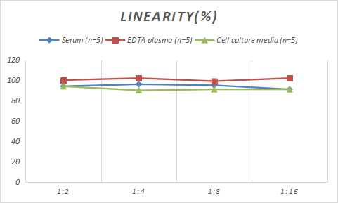 Rabbit Caspase-3 ELISA Kit (Colorimetric)
