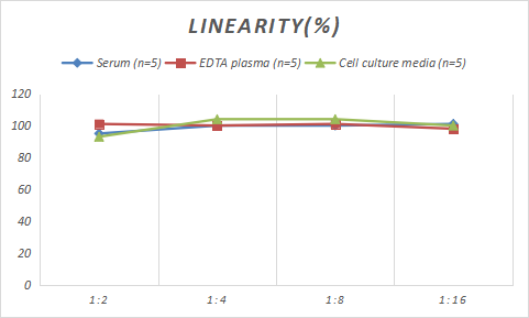 Sheep Creatine Kinase MB ELISA Kit (Colorimetric)