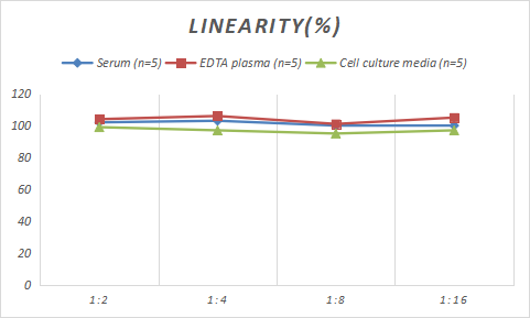 Rabbit Collagen III ELISA Kit (Colorimetric)