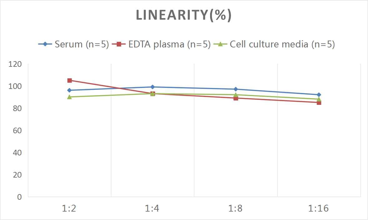Rat Cardiac Troponin T ELISA Kit (Colorimetric)