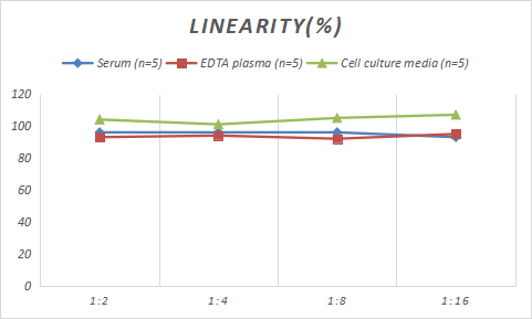 Rabbit CTX-1 ELISA Kit (Colorimetric)