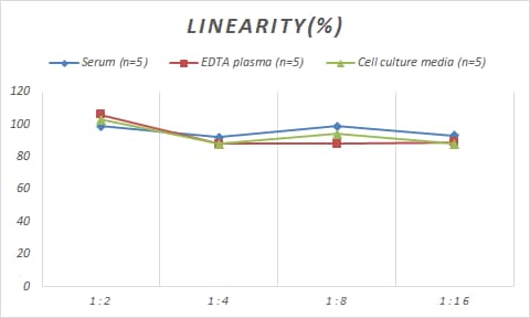 Human Cytochrome P450 2A6 ELISA Kit (Colorimetric)