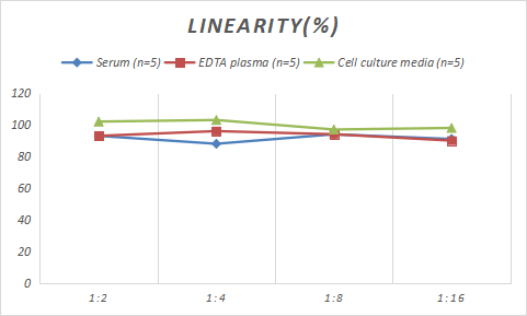 Rabbit DAO ELISA Kit (Colorimetric)