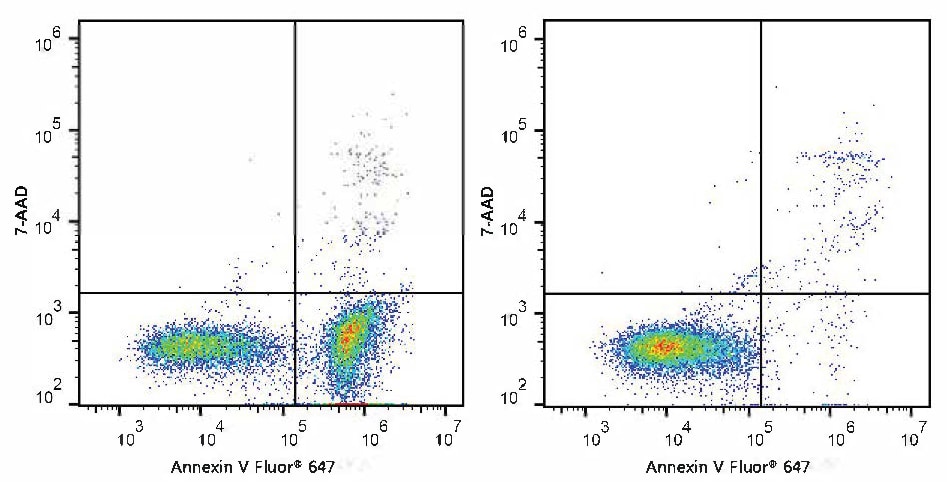 Annexin V Apoptosis Kit [Red, 647] Application: Annexin V Apoptosis Kit [Red, 647] [NBP3-50204]