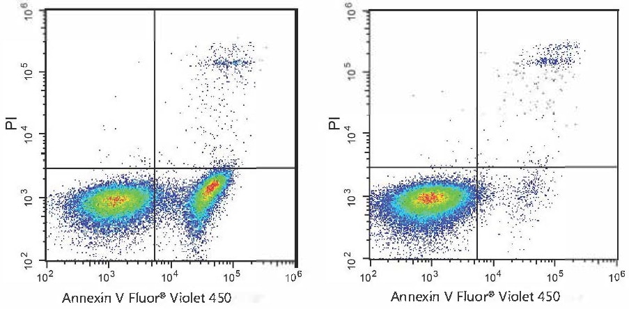 Annexin V Apoptosis Kit [Blue, 450] Application: Annexin V Apoptosis Kit [Blue, 450] [NBP3-50205]