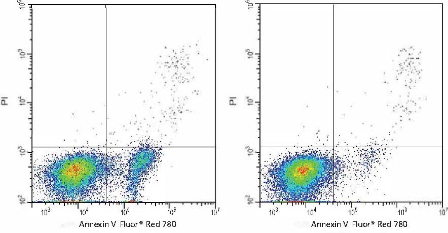Annexin V Apoptosis Kit [Far Red, 780] Application: Annexin V Apoptosis Kit [Far Red, 780] [NBP3-50207]