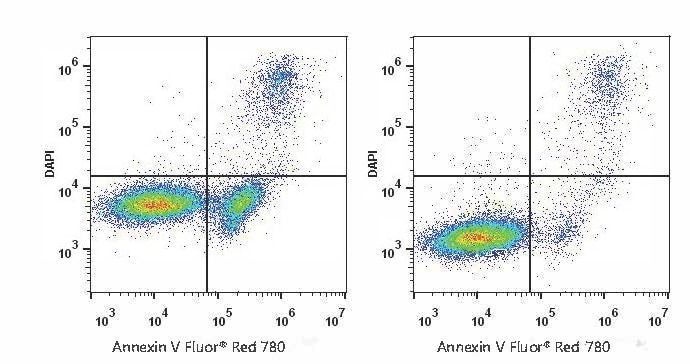 Annexin V Apoptosis Kit [Far Red, 780] Application: Annexin V Apoptosis Kit [Far Red, 780] [NBP3-50211]