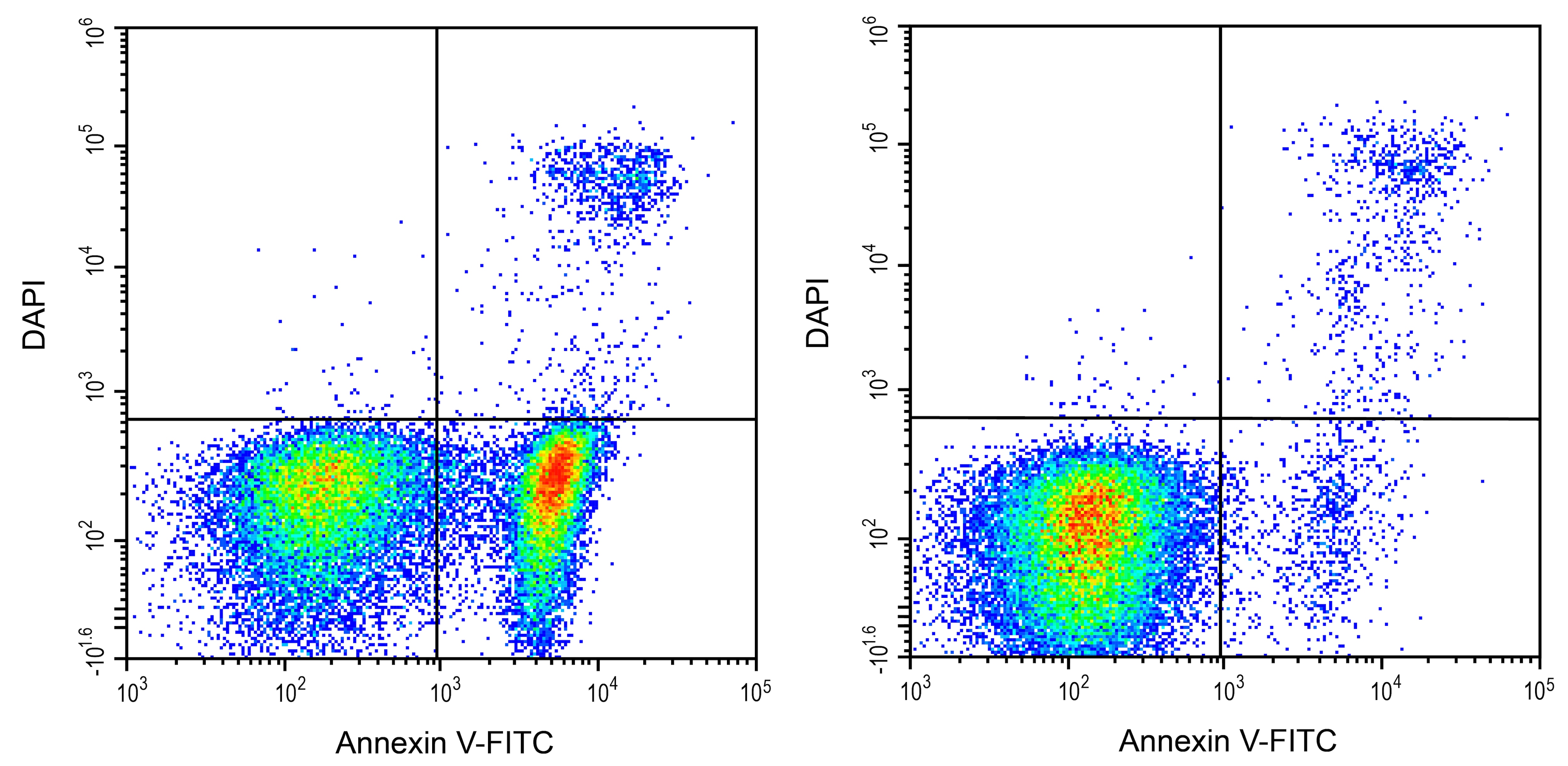 Annexin V Apoptosis Kit [FITC] Application: Annexin V Apoptosis Kit [FITC] [NBP3-50220]