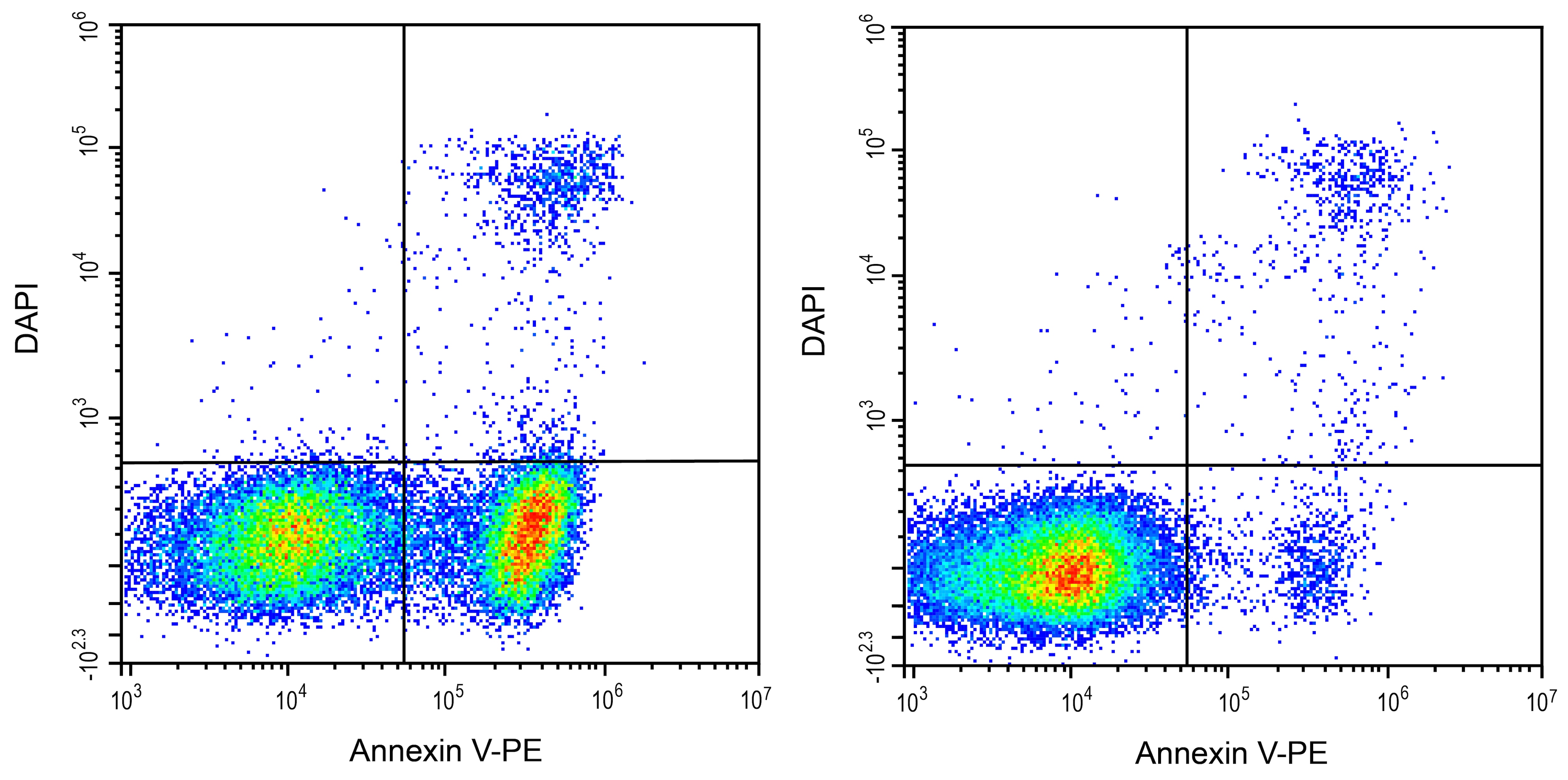 Annexin V Apoptosis Kit [PE] Application: Annexin V Apoptosis Kit [PE] [NBP3-50221]