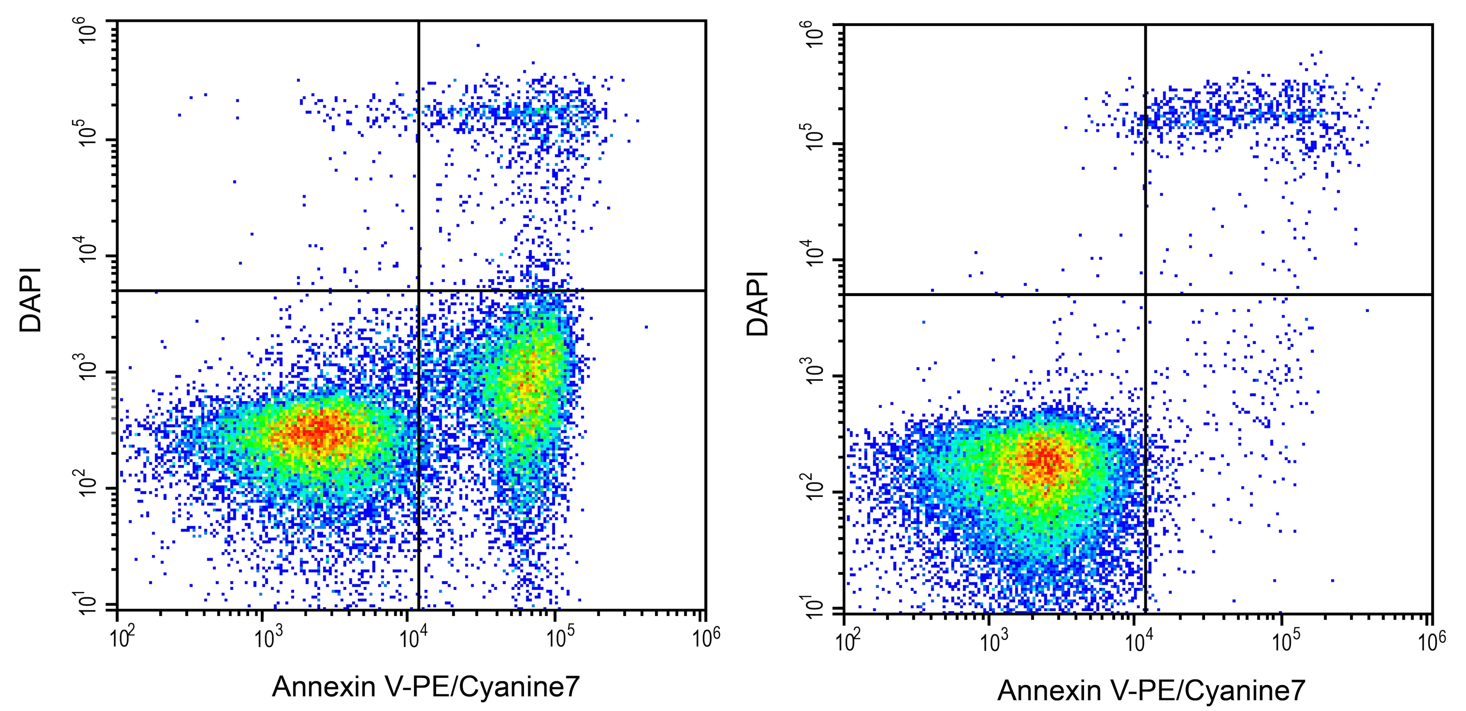 Annexin V Apoptosis Kit [PE/Cy7] Application: Annexin V Apoptosis Kit [PE/Cy7] [NBP3-50226]