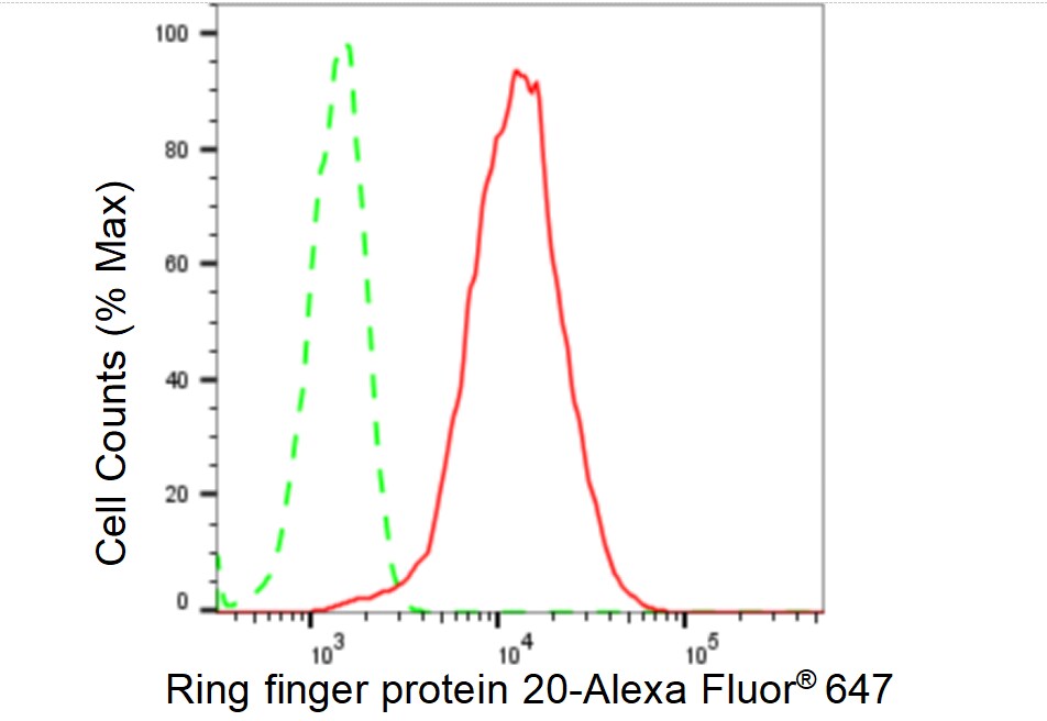RNF20 Antibody (23GB2555)