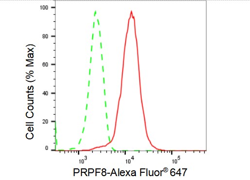 PRPF8 Antibody (23GB1995)