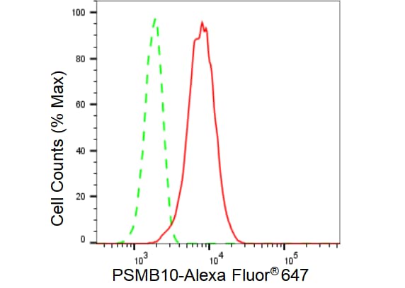 PSMB10/MECL1 Antibody (23GB2170)