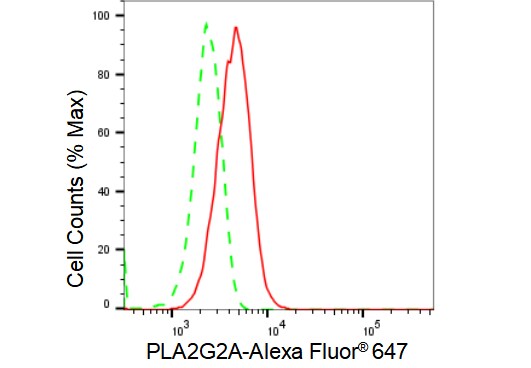 PLA2G2A Antibody (23GB2190)