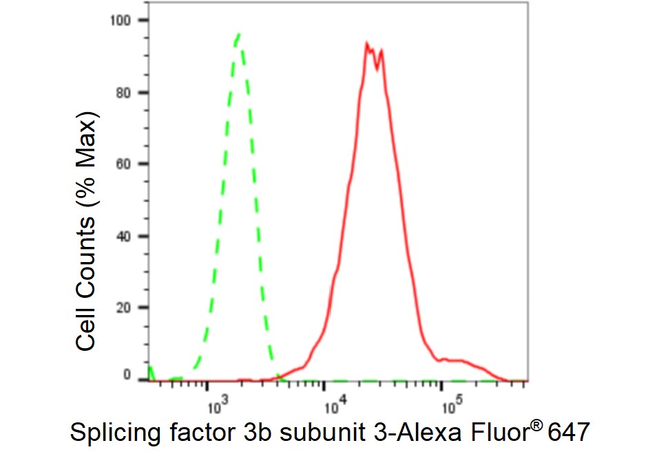 SAP130 Antibody (23GB2260)