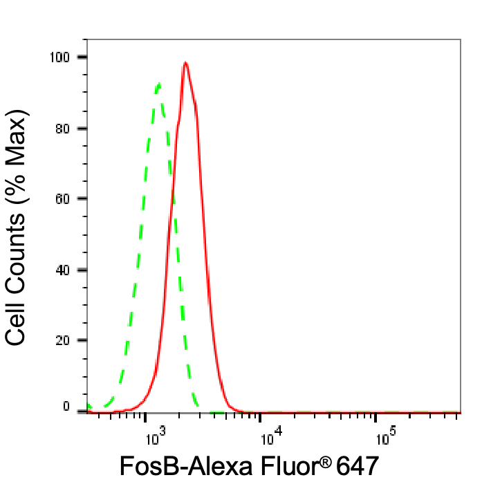 FosB/G0S3 Antibody (23GB2285)
