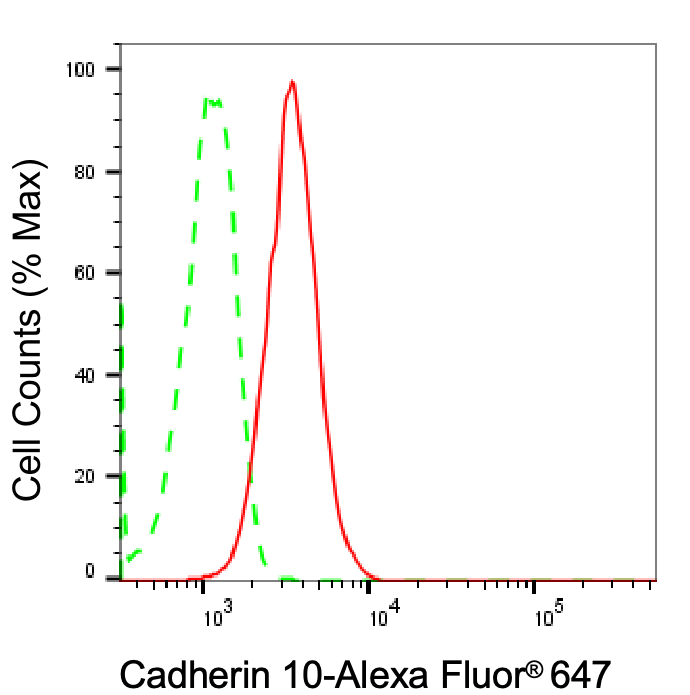 Cadherin-10 Antibody (23GB1600)