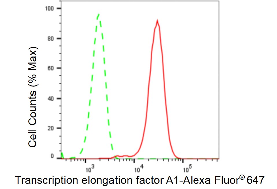 TCEA1 Antibody (23GB2330)