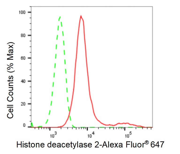 Histone Deacetylase 2/HDAC2 Antibody (23GB2900)