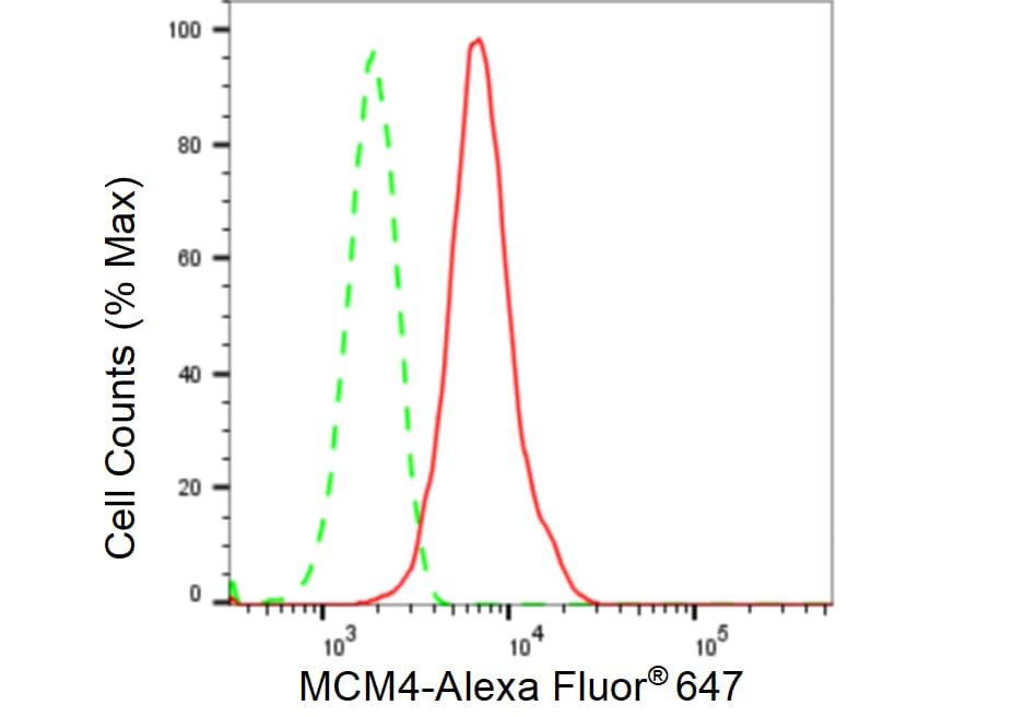 MCM4 Antibody (23GB2495)