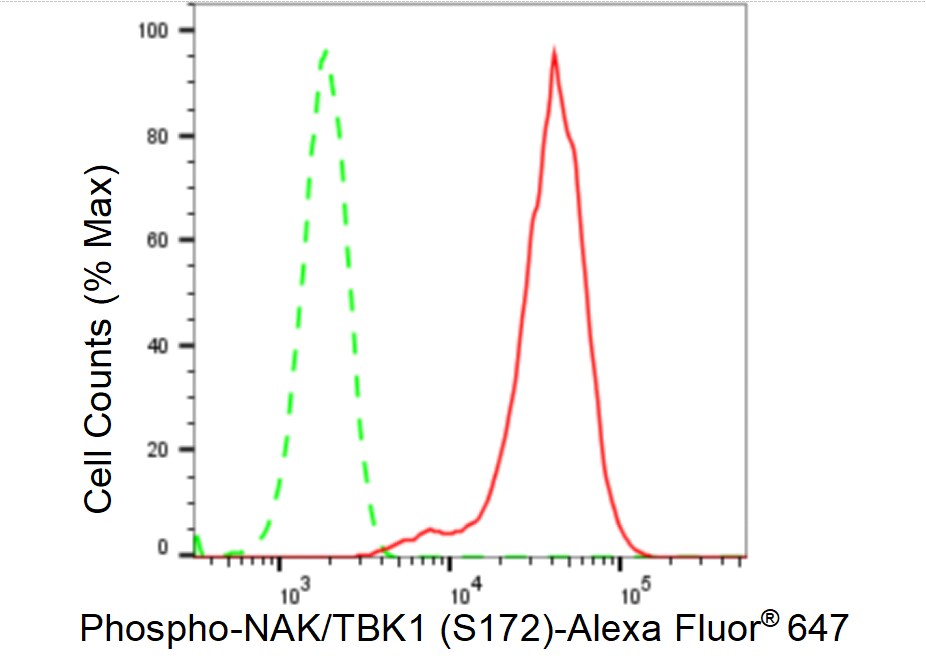 TBK1 [p Ser172] Antibody (23GB2725)