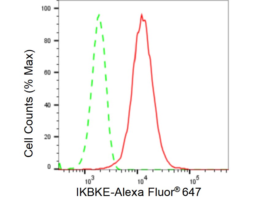 IKK epsilon/IKBKE Antibody (23GB2720)