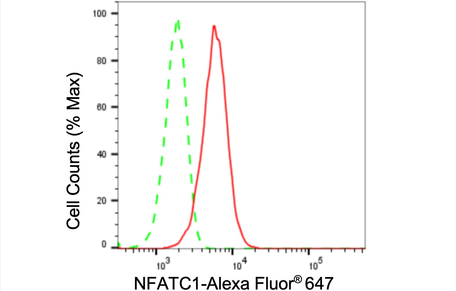 NFATC1/NFAT2 Antibody (24GB380)