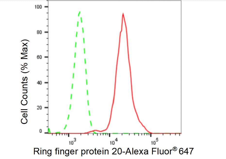 RNF20 Antibody (23GB2550)
