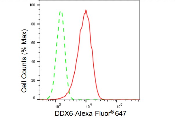 DDX6 Antibody (23GB3555)