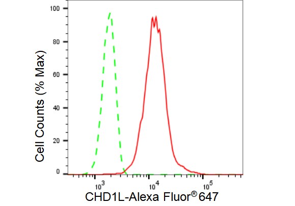 CHD1L Antibody (23GB3770)