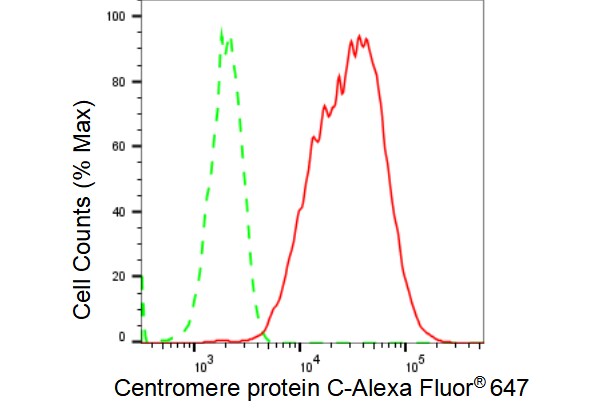 CENPC Antibody (23GB3760)