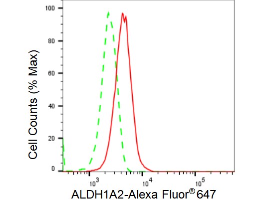 ALDH1A2 Antibody (23GB3640)