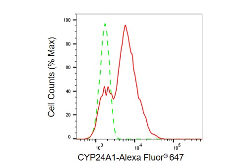 CYP24A1 Antibody (23GB3795)