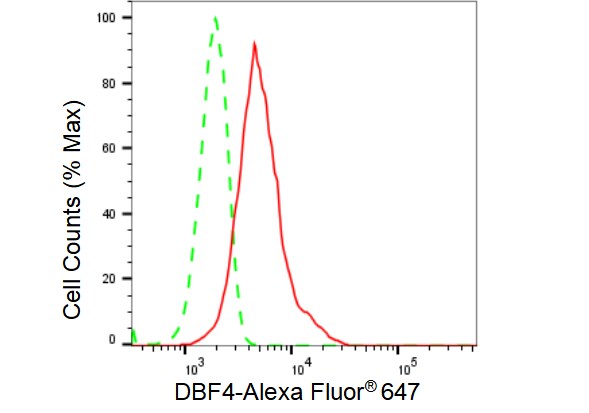 DBF4 Antibody (23GB3815)