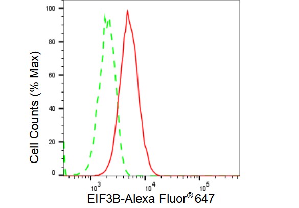 EIF3B Antibody (23GB3830)