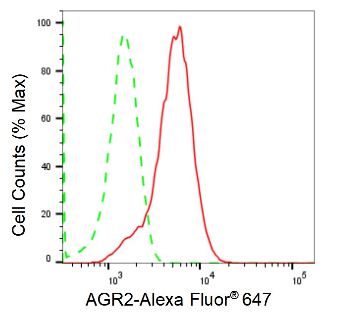 AG-2/AGR2 Antibody (23GB1840)