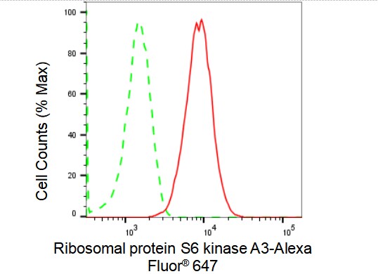 RSK2 Antibody (23GB1530)