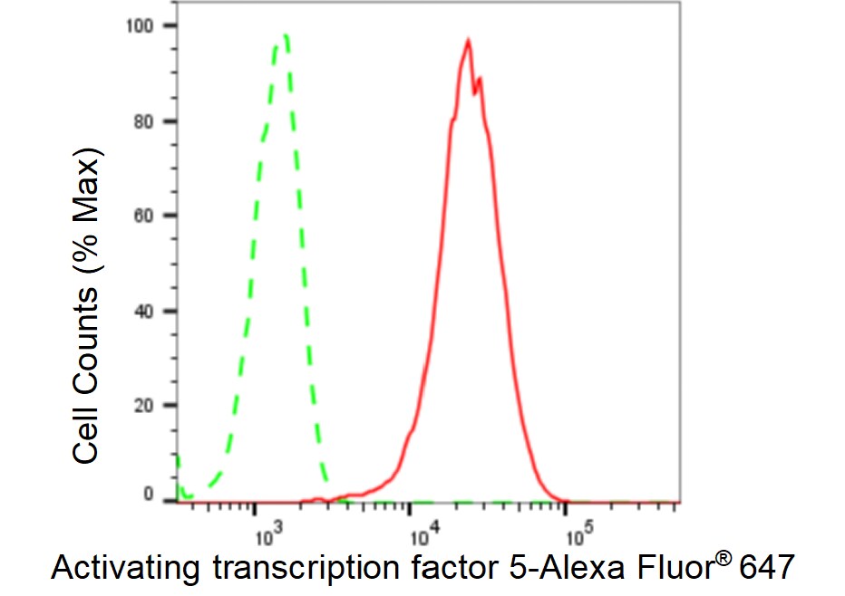 ATF5 Antibody (23GB3145)