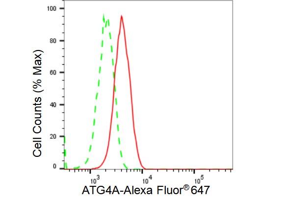 ATG4A Antibody (23GB3235)