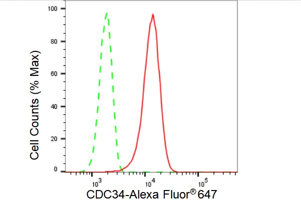 UBE2R1/CDC34 Antibody (23GB3435)