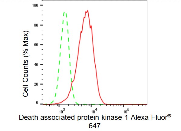 DAP Kinase 1 Antibody (23GB3565)
